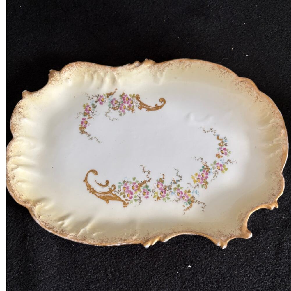 Vintage Limoges France Hand Painted Scalloped Platter